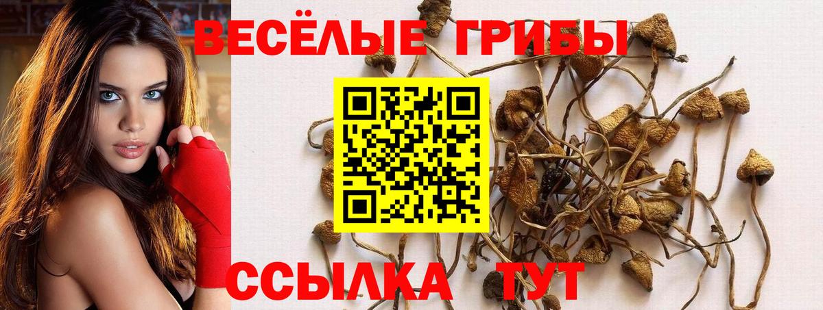 Псилоцибиновые грибы мухоморы  Вход с VPN  хочу   Орехово-Зуево 